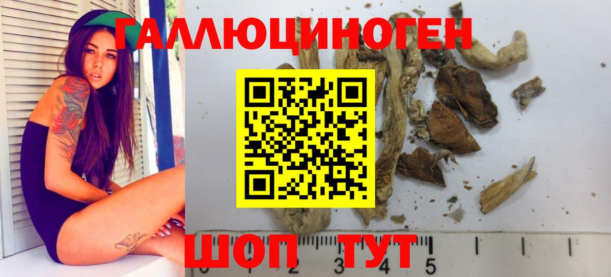 купить закладку  Псилоцибиновые грибы GOLDEN TEACHER  Вход с VPN  Галлюциногенные грибы Cubensis  Комсомольск-на-Амуре 